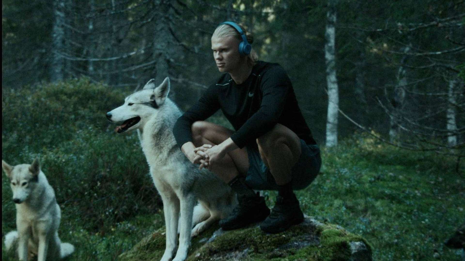 的精彩瞬间 的精彩瞬间